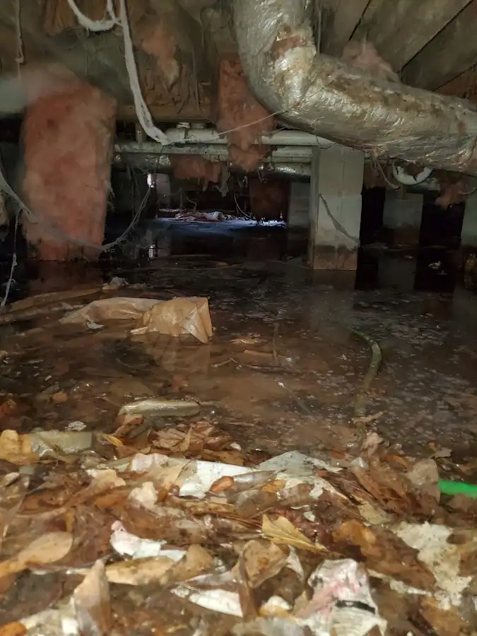 Crawl space flood assessment for Leak Detection & Repair in Hillside